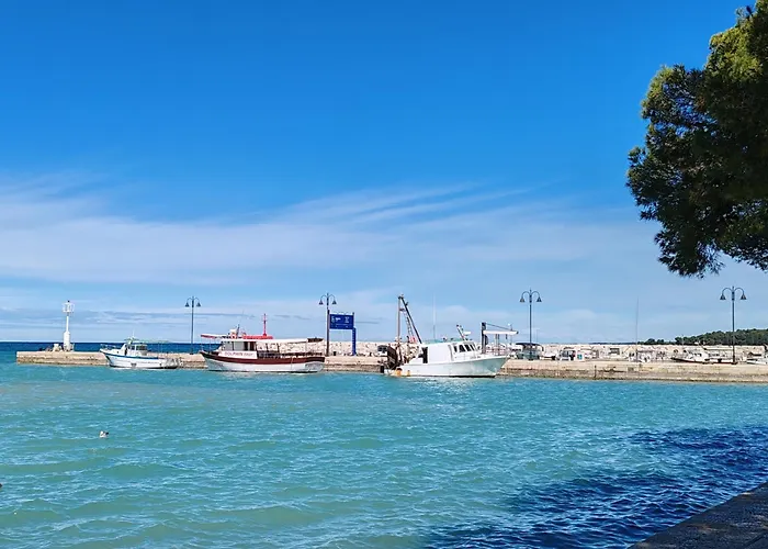 Dodo&ana Appartement *