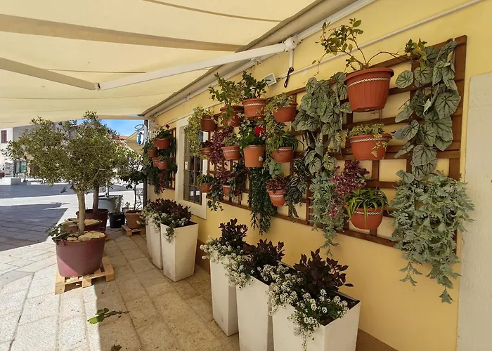 Appartement Dodo&ana