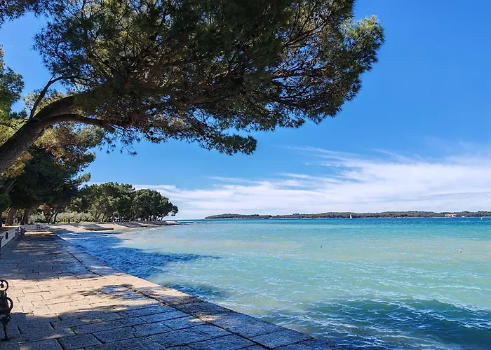 Appartement Dodo&ana *