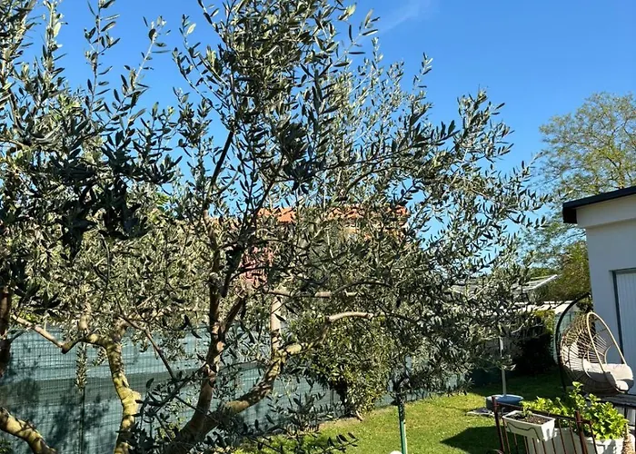 Dodo&ana Appartement *