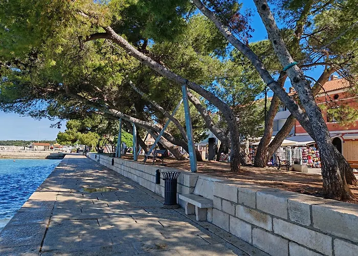 Appartement Dodo&ana