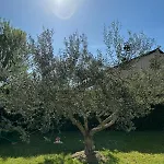 Apartman Dodo&ana Fazana