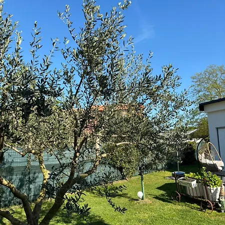 Dodo&ana Apartamento *