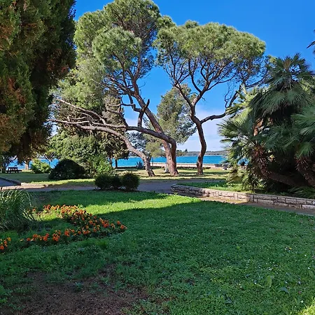 Dodo&ana Apartamento *