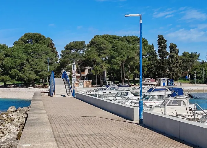 Διαμέρισμα Dodo&ana *