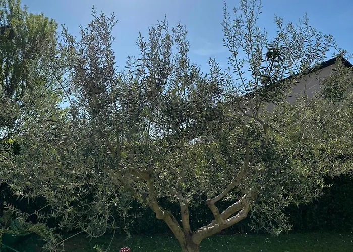 Διαμέρισμα Dodo&ana Fažana