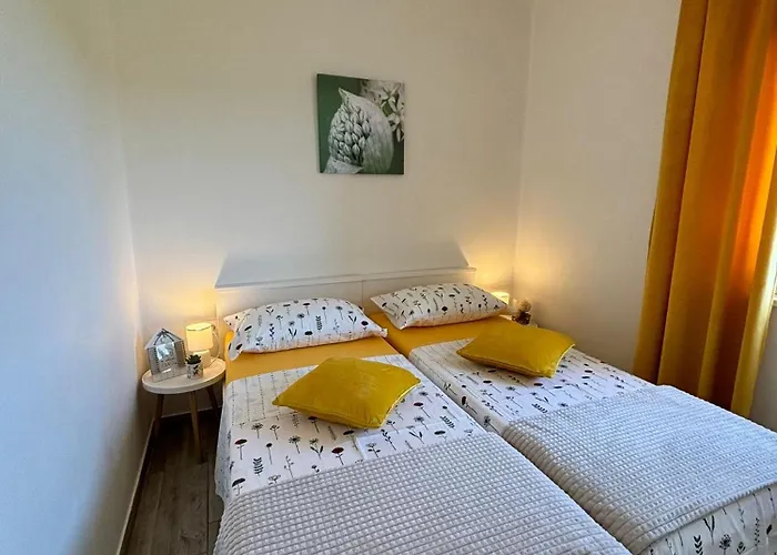 Dodo&ana * 法扎纳